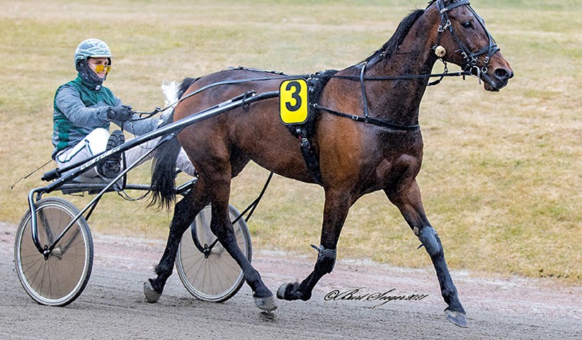 Sidste nyt (Opdateres) LASS-PASSION_D2I4225