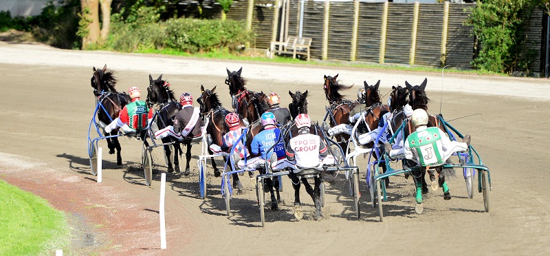 Pressemeddelelse fra Dansk Travsports Centralforbund løb 7
