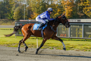 michalahaagensen