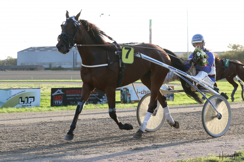 Sådan gik det i Aalborg - Anders Pedersen dagsbedst Freja Henley