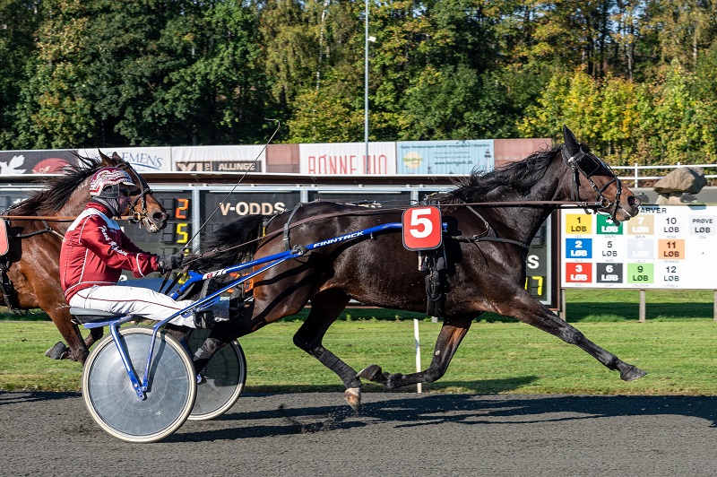 Capana Oestervang med Frank Mikkelsen 10 oktober 2021 Fotograf Torben Ager Travfoto Bornholm TKA 4189