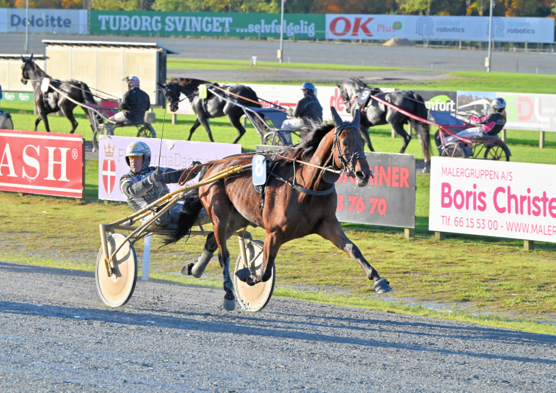 FIRST ONE DIAMOND DSC 8930