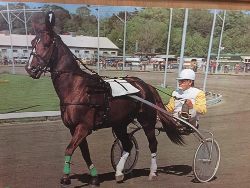 Tarok på DR2 i eftermiddag Tarok Åby banen