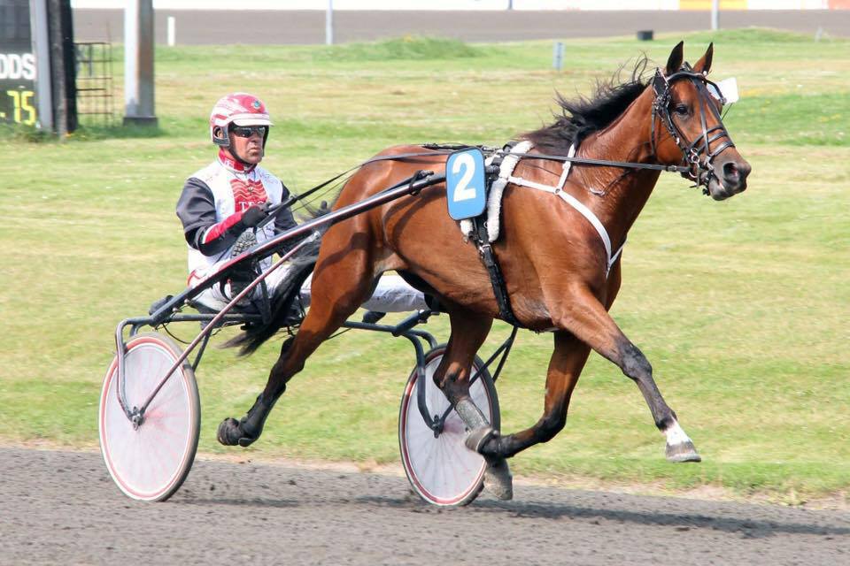 Husker du Ups Simoni – Første afkom i Opdrætningsprøverne Ups Simoni