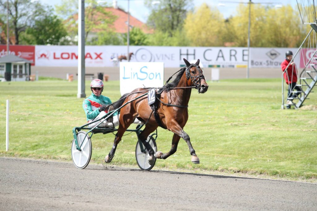 svend dyrhberg Pot sUCCES
