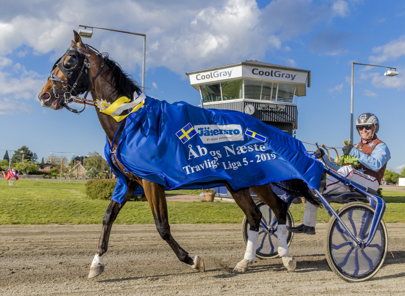 Løbshest - French Quick (Se) udbydes FRENCH_QUICK_MGL5998