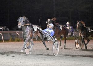 GazelleDiDamgaard 211126