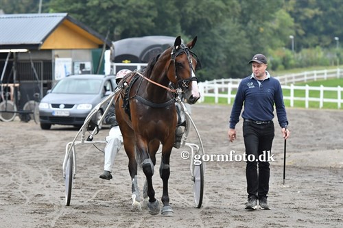 Magnus Ladegaard i Odense