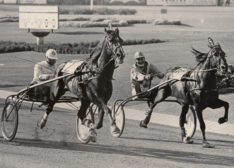 Semint Tarok Koster 1977 Foto BS 1 e1637479729847