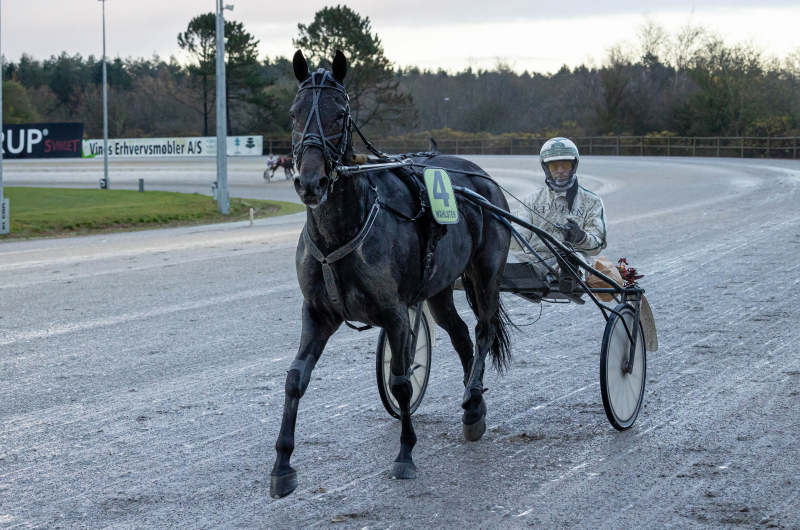 Carna Sensei i morgen - Lillesøster i dag carnai_sensei_1_of_1_