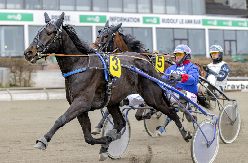 Gunpowder fortsat ubesejret i 2022 GUNPOWDER_P2I4807