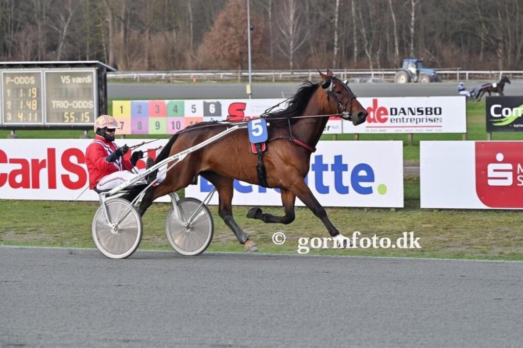 emil lund4