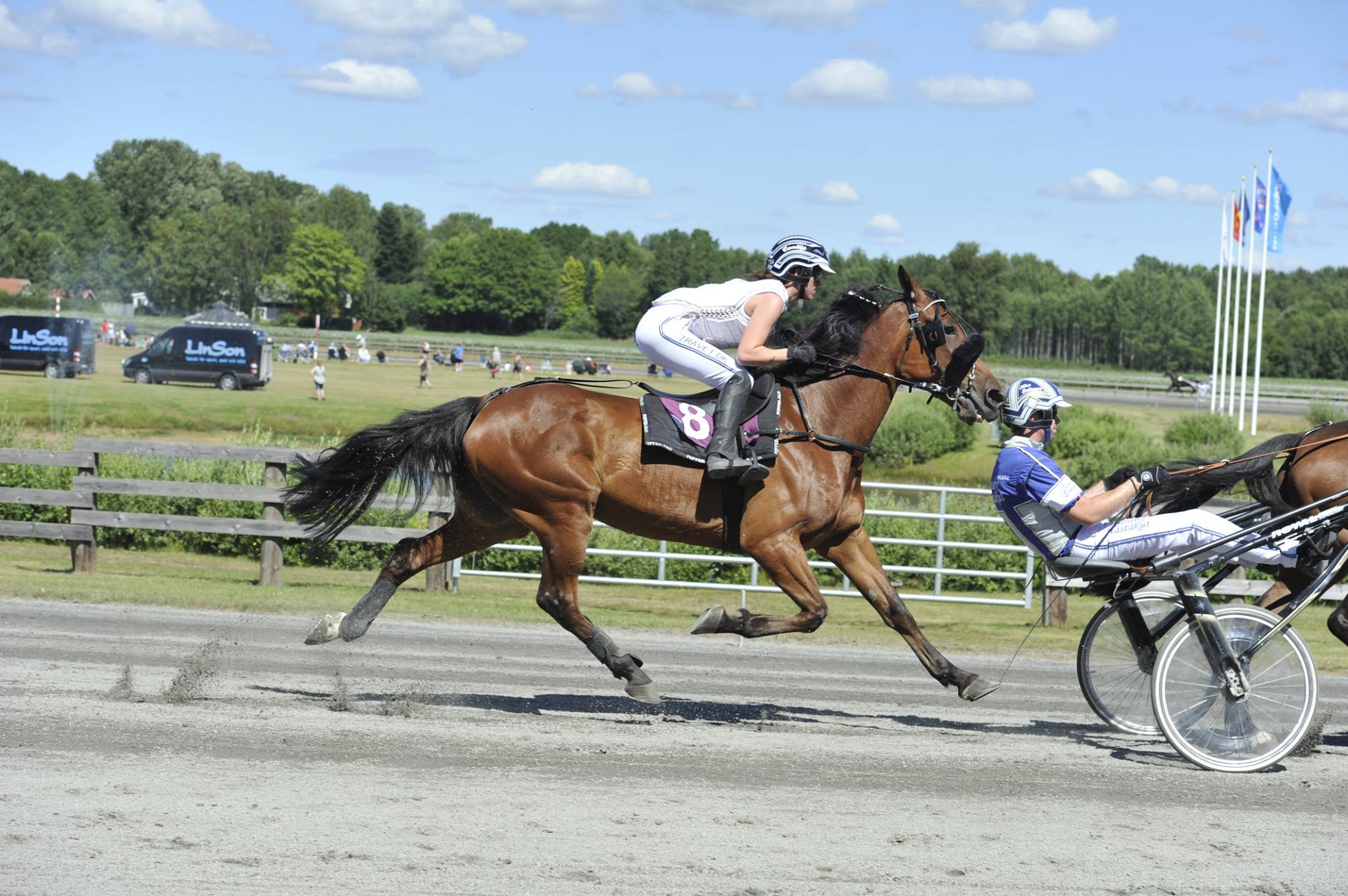 Sverige – Har du styr på reglerne fra 1. februar Camilla Spur 2