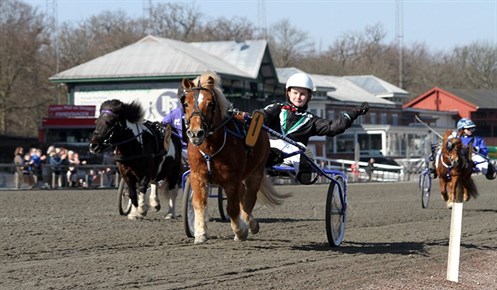 Malthe Arp og Trolleby