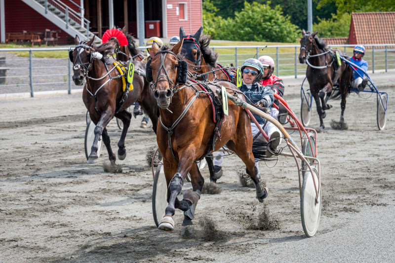 Bornholm - Udlændinge udelukkes fra spil på travbanen Empire_Flex_med_Rene_Kj_r_Bornholms_Brand_Park_7_juni_2020_Fotograf_Torben_Ager_Travfoto_Bornholm_TKA_3288