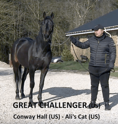 Great Challenger 2020