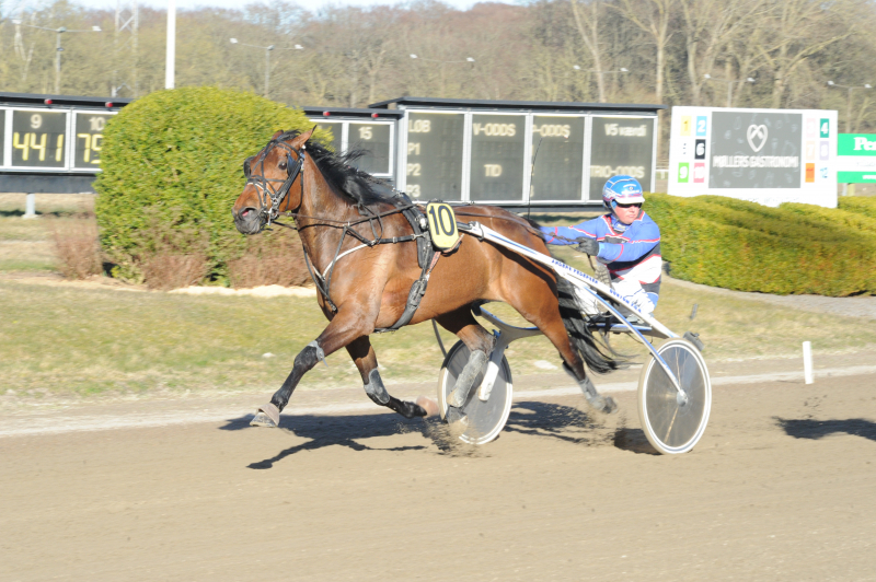Flotte præstationer i Aarhus DSC_9129
