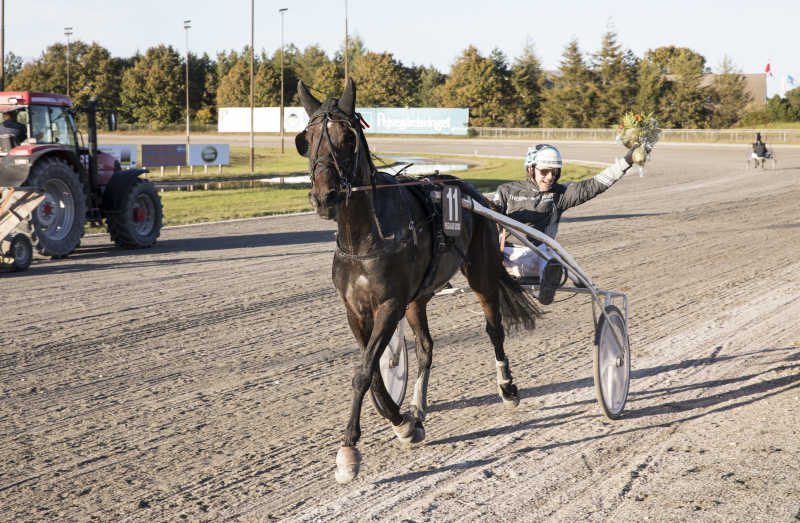 GP4A8561 Brage Hindo