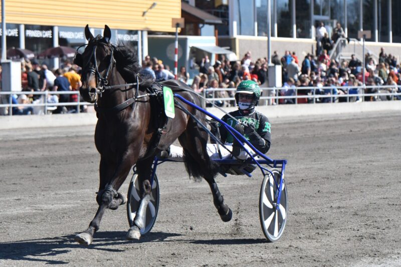 Klosterskogen - Sådan gik det danskerne 278542295_477675447471634_9206924205638833520_n