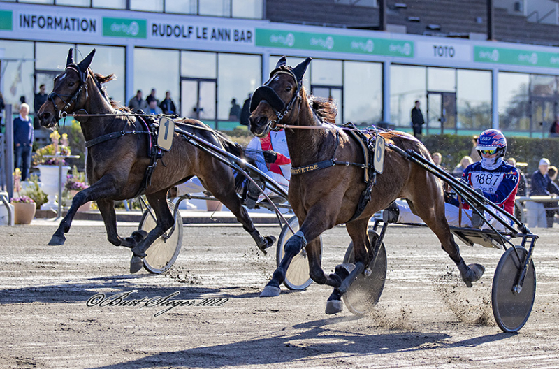 Fjerde løbsdag i træk for Victor og Ola RILEY_S_W_D2I6819