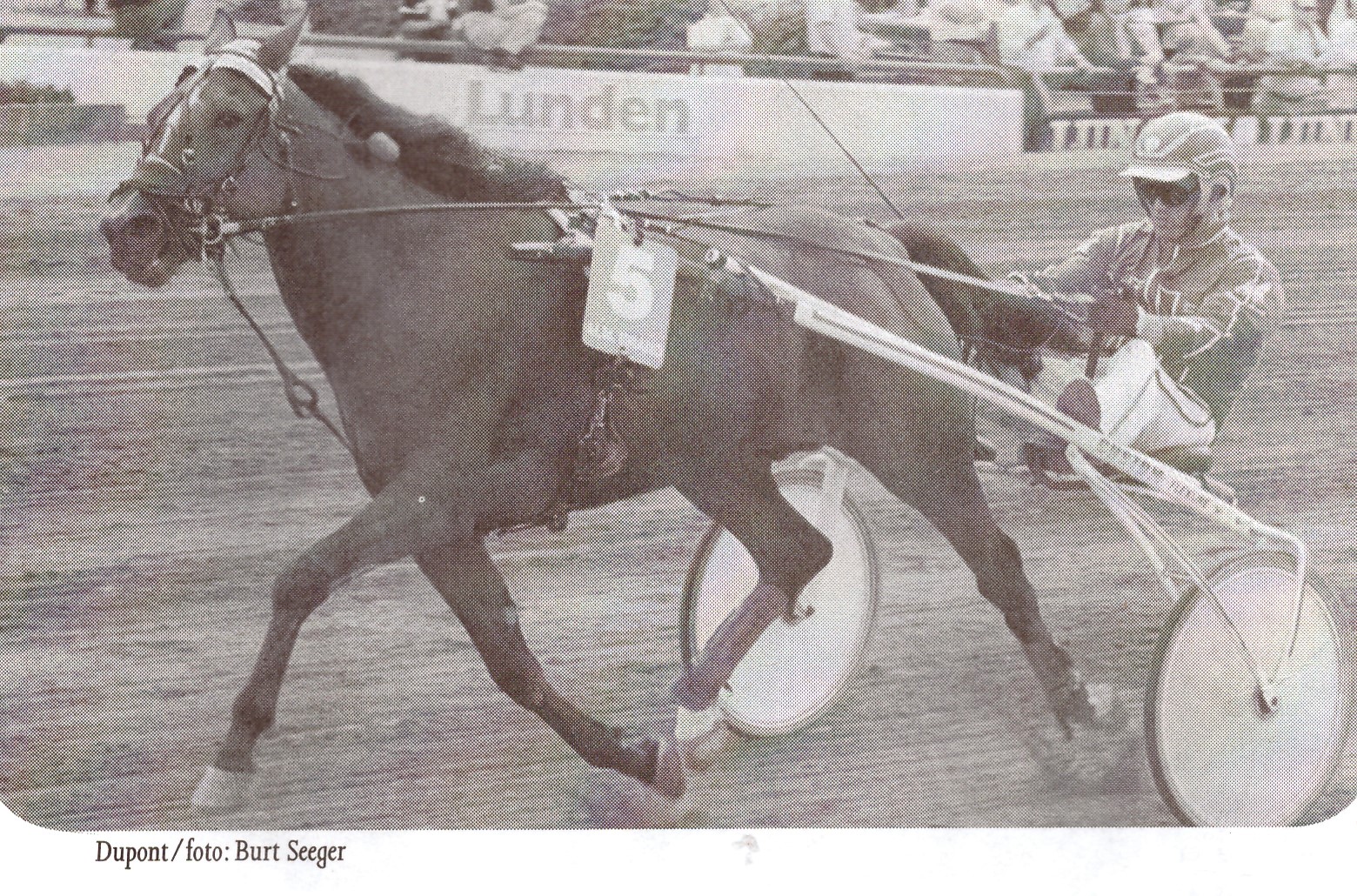 Steen Juul Dupont foto BS