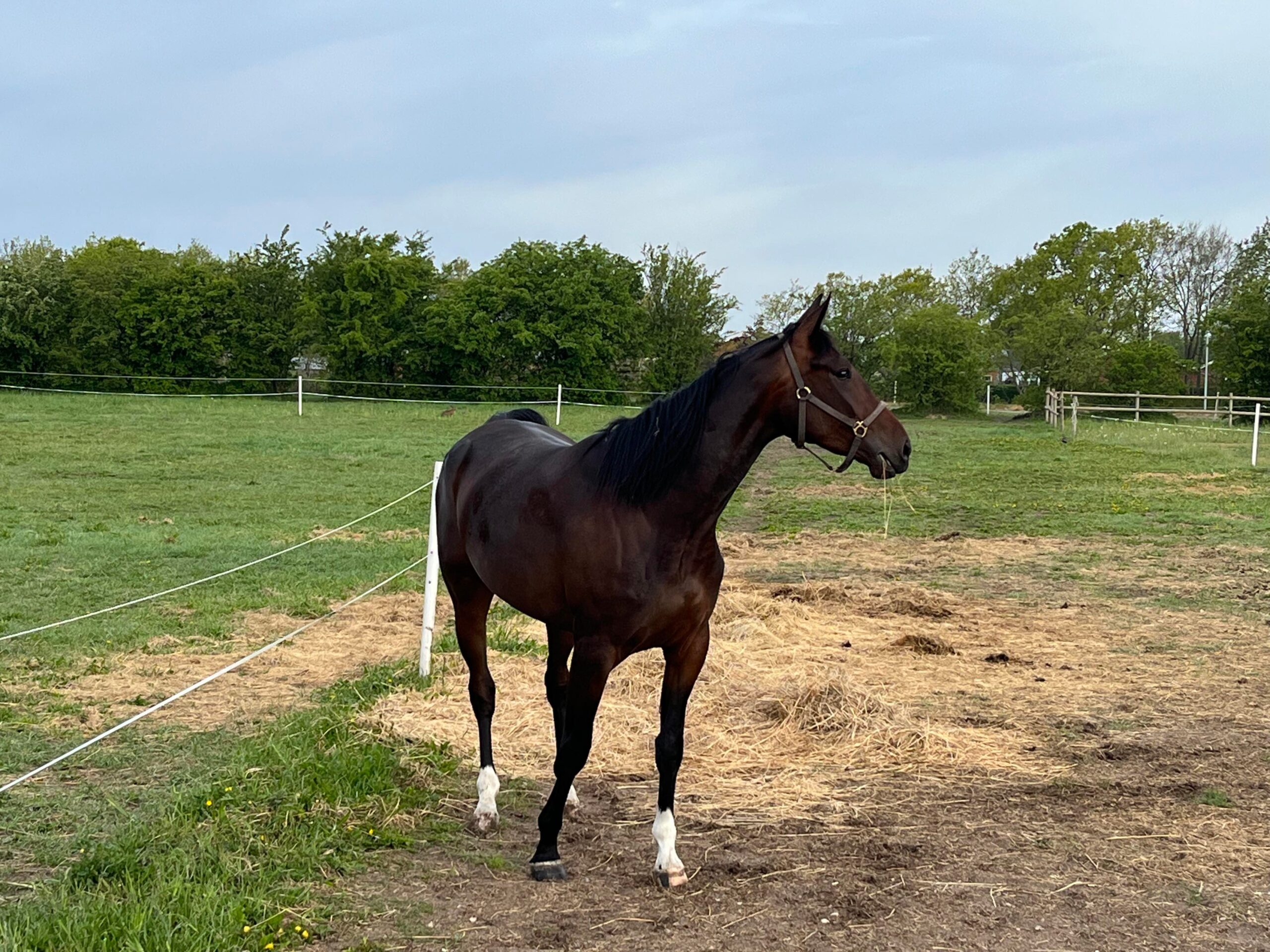 (Solgt) - Girlpower Pop 280485636_562128772011398_4316406951223221569_n