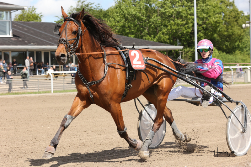 Sådan gik det i Aalborg 895A6149