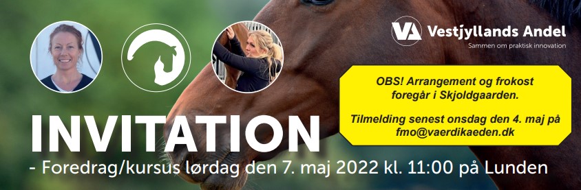 Skærmbillede 2022-05-03 173659