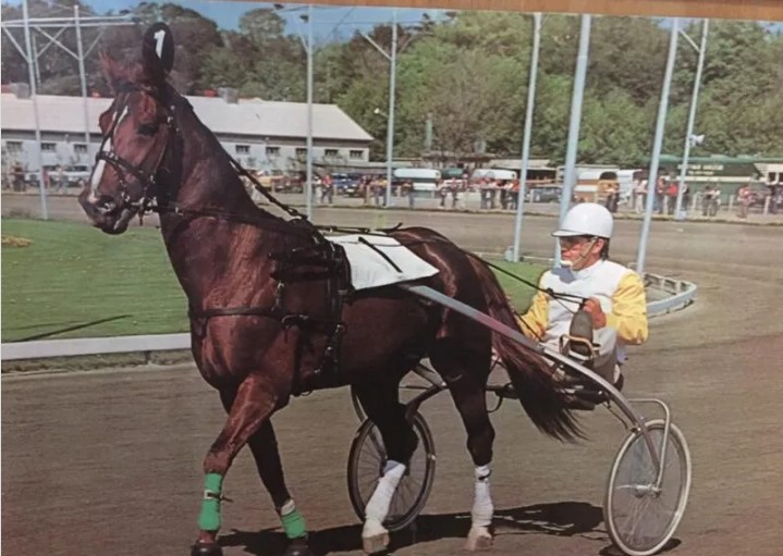 Skive - Tarok er igen i centrum tarok