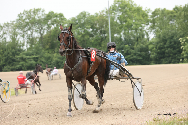 Kan Freja Klitgaard gøre det igen Freja og Flicka Gry