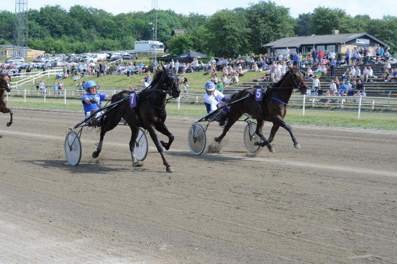 Django Cæsar på de sidste meter DSC_1735 (1)