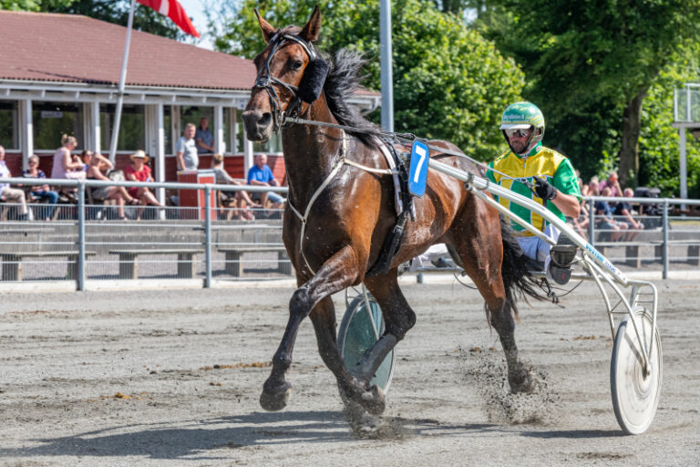 Emil Baunely med Henrik L nberg Bornholms Brand Park 24 juni 2020 Fotograf Torben Ager Travfoto Bornholm TKA 7518