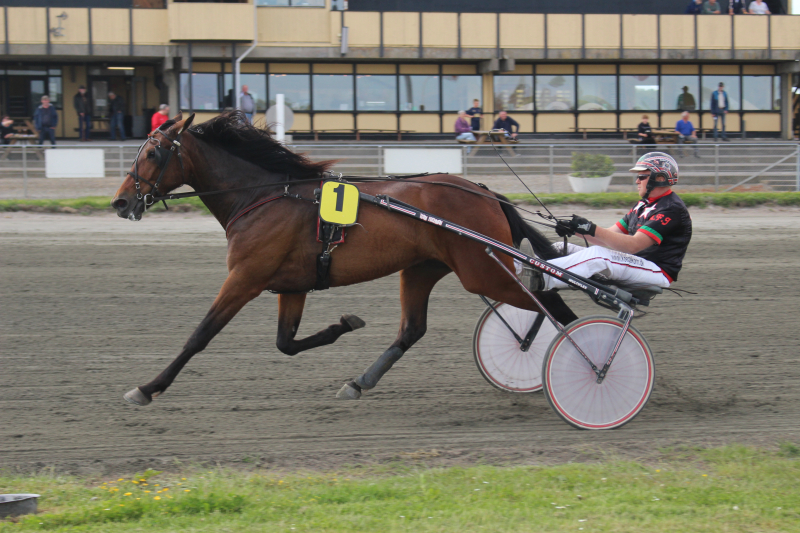 Handsome Henry W A 220609