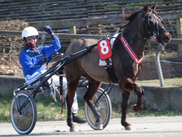 Mikke og Tip Top 1 scaled e1654175542170