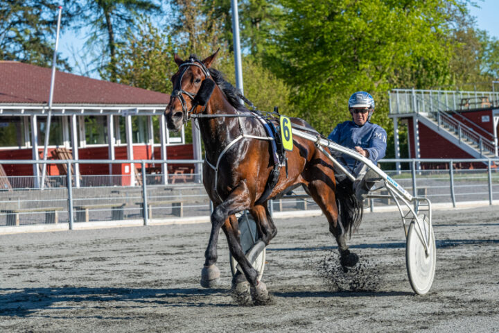 emil baunely med Max Nielsen 19 Maj 2020 Fotograf Torben Ager travfoto Bornholm TKA 2982 720x480 1