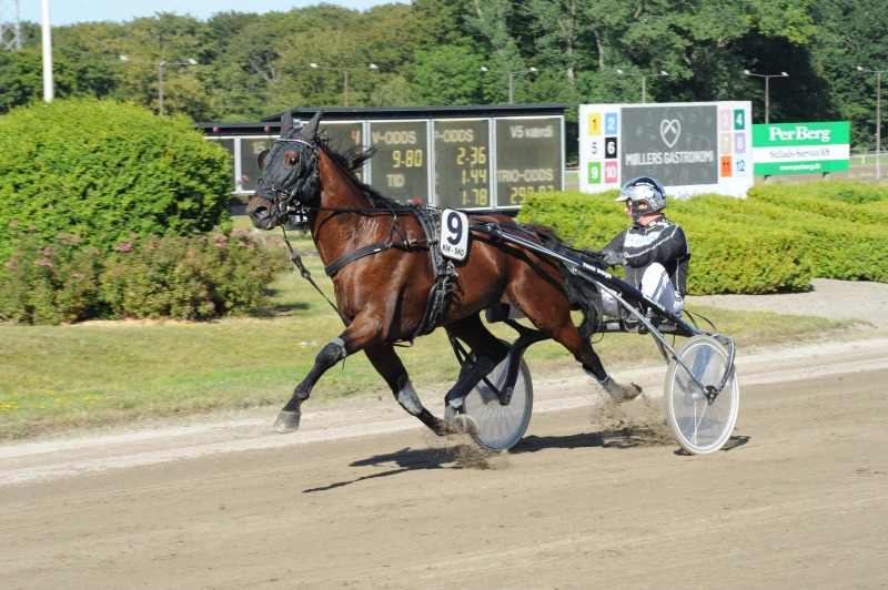 296409733 1221327778630588 2089787265495063170 n