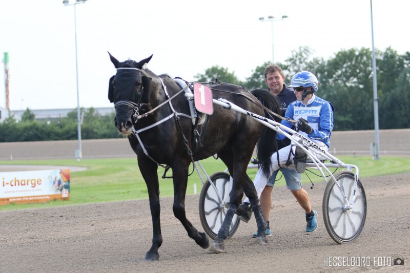 3M1A7106 1