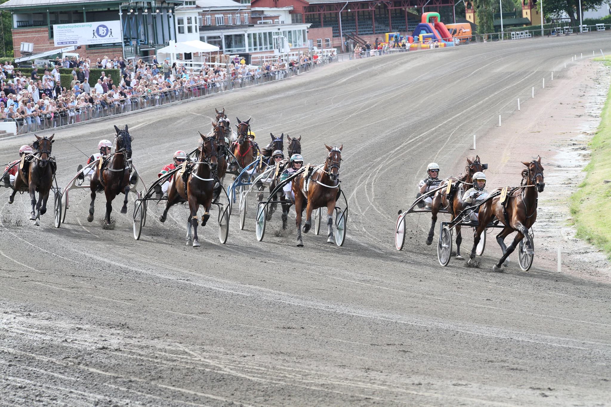 UET – Dyrevelfærd er kernen Charlottenlund Travbane 09