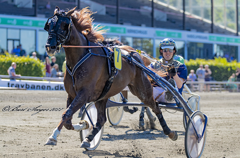 HOPE NEVER DIES S2 9356