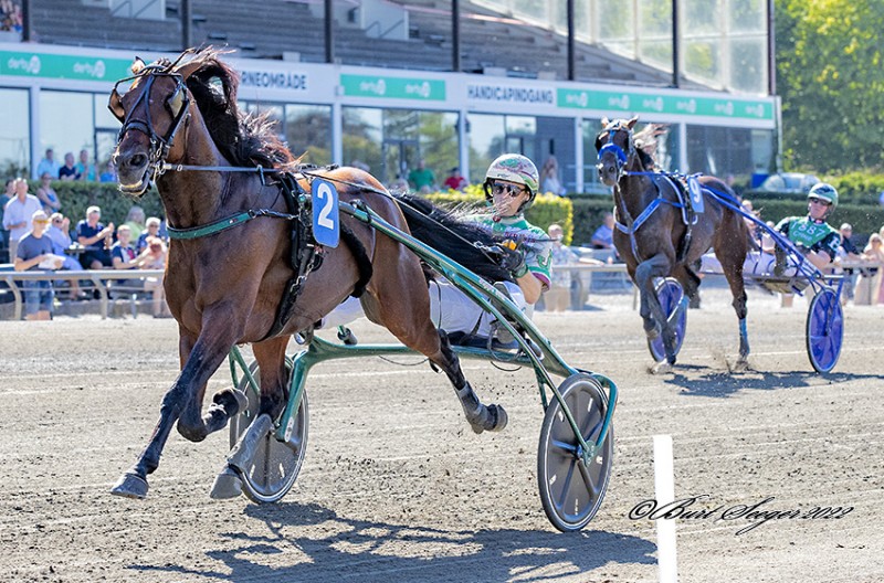 Garfield
