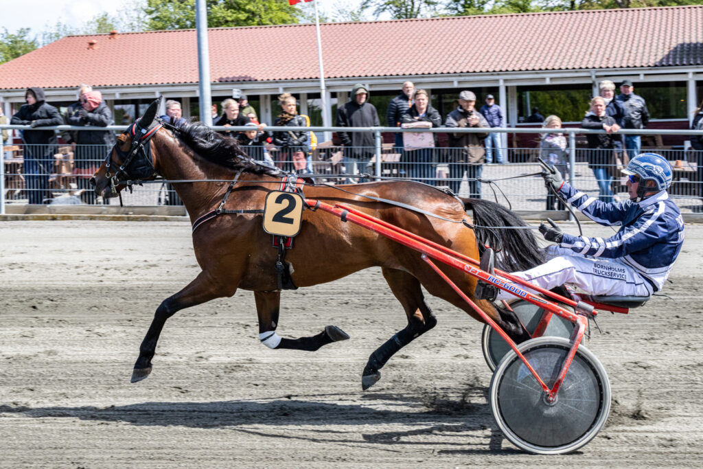 Donerailrose med Martin Sj holm Jensen 27 maj 2022 Fotograf Torben Ager . scaled 1
