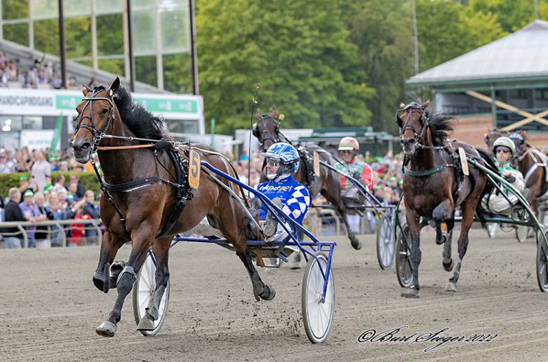 Kort nyt GET_A_WISH_S2_5527