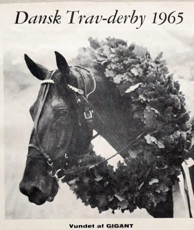 En gigantisk Derbysejr til Gigant i 1965 Gigant derbyvinder med krans