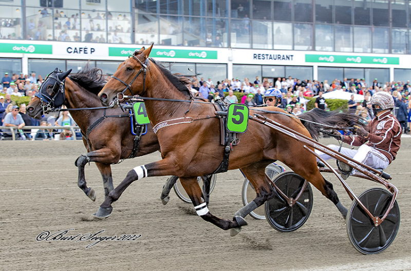 Kort nyt SCHAMPUS_S2_5323