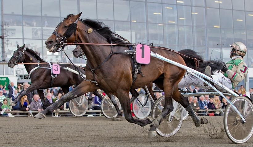 Ansager Hestehospital og Travet.dk forlænger samarbejdet wishing-stone