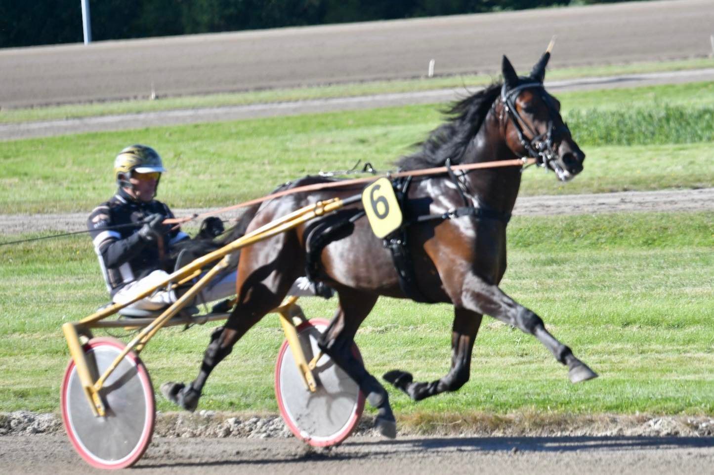 306793091 819300932598252 6532198381864296833 n