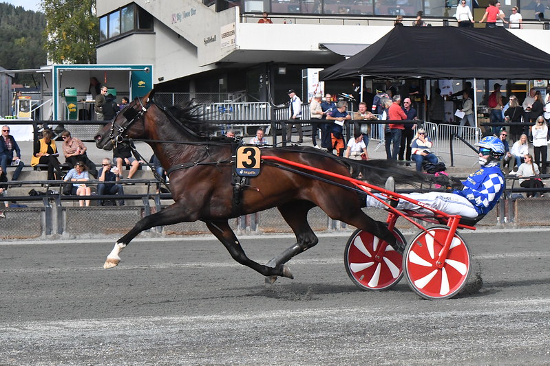Norsk Trav Kriterium – 75.000 NOK til Team Westergaard 52350092684_959b137887_c