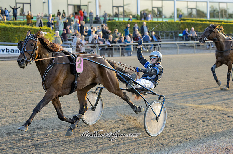 Store odds på Noah Holse ELVIRA_Z5A5129