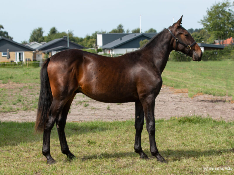 Kalle May sida scaled e1662795889787