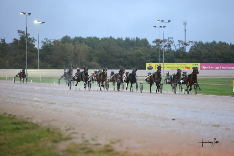 DM i ny udgave i 2024 Aalborg